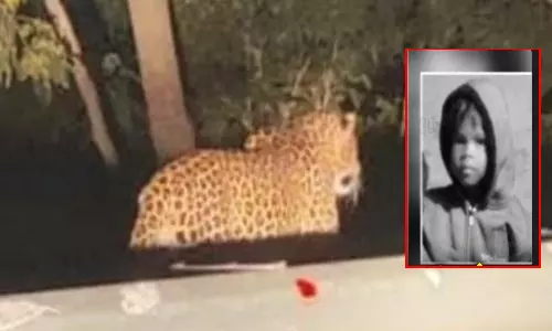 தாய் கண்முன்னே சிறுமியை கவ்விச் சென்ற சிறுத்தை- வால்பாறையில் பரபரப்பு