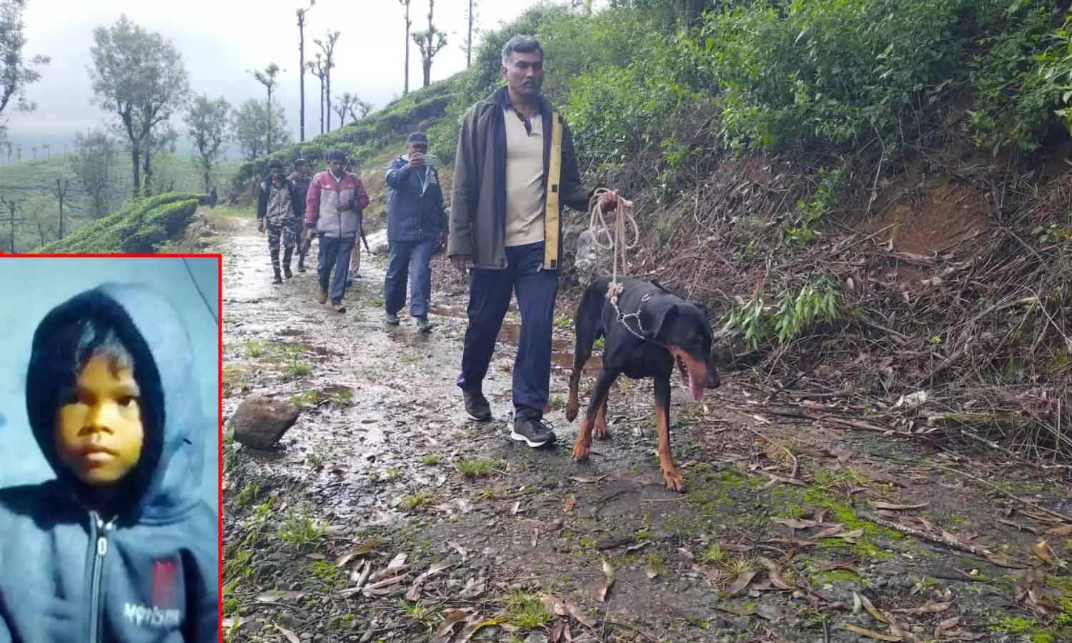 சிறுத்தை கவ்வி சென்ற சிறுமியின் உடலை தேடும் பணி தீவிரம்