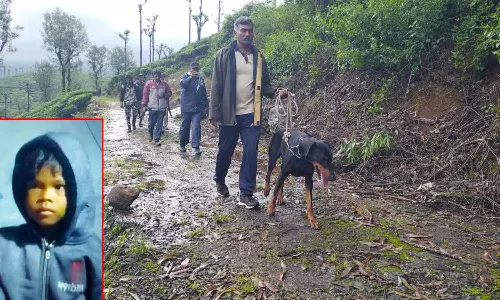 சிறுத்தை கவ்வி சென்ற சிறுமியின் உடலை தேடும் பணி தீவிரம்