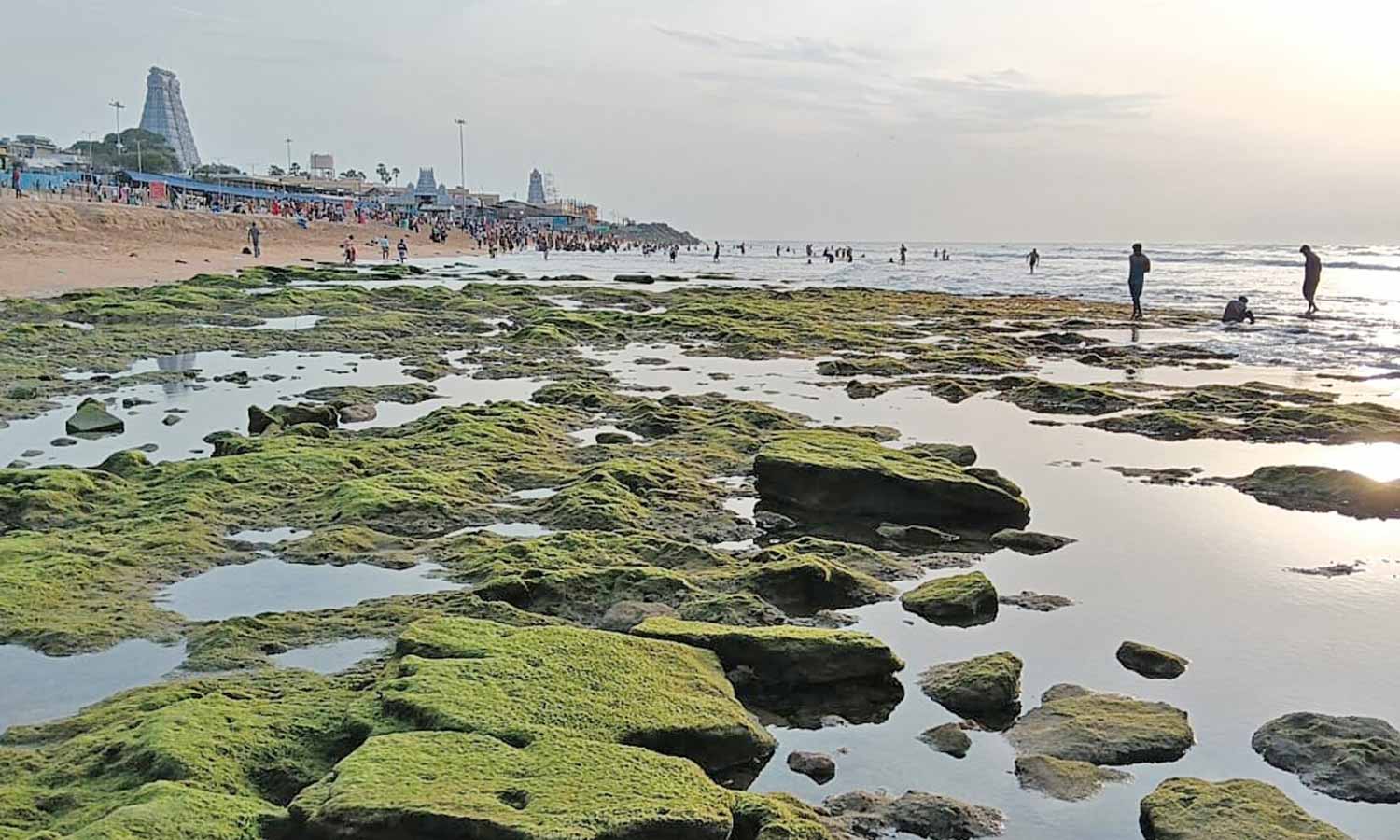 திருச்செந்தூர் கடல் 100 அடி தூரம் உள்வாங்கியது- பக்தர்கள் அச்சமின்றி புனித நீராடினர்