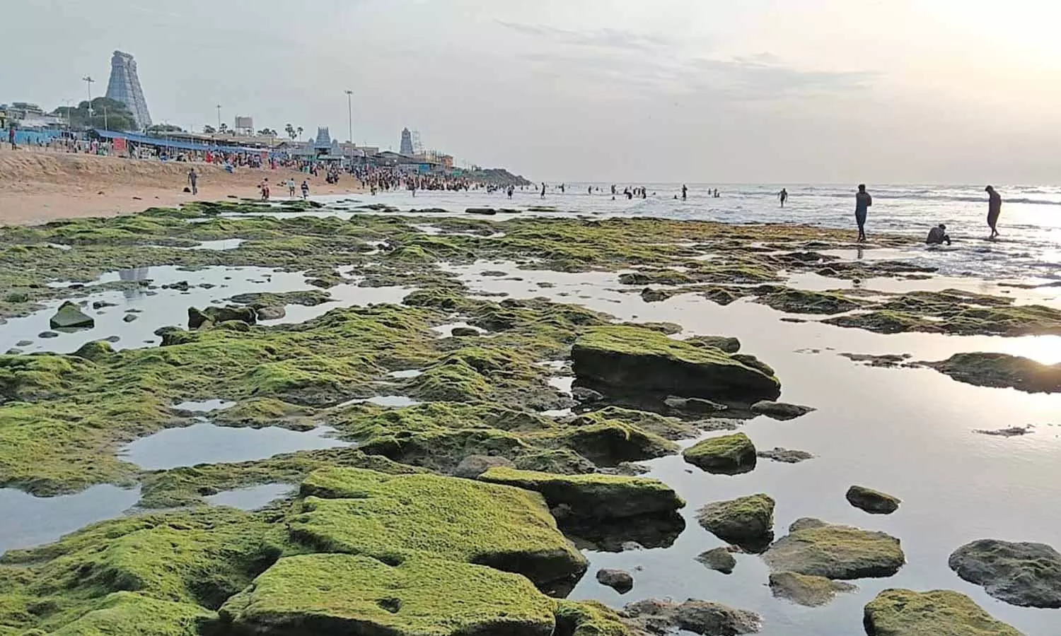 திருச்செந்தூர் கடல் 100 அடி தூரம் உள்வாங்கியது- பக்தர்கள் அச்சமின்றி புனித நீராடினர்