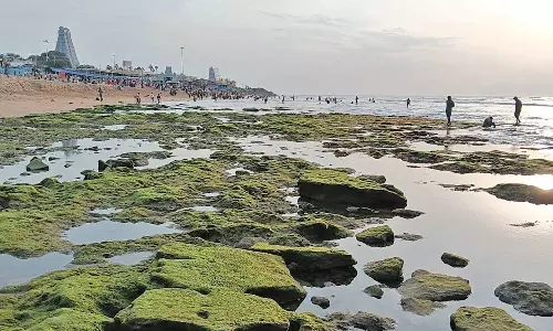 திருச்செந்தூர் கடல் 100 அடி தூரம் உள்வாங்கியது- பக்தர்கள் அச்சமின்றி புனித நீராடினர்