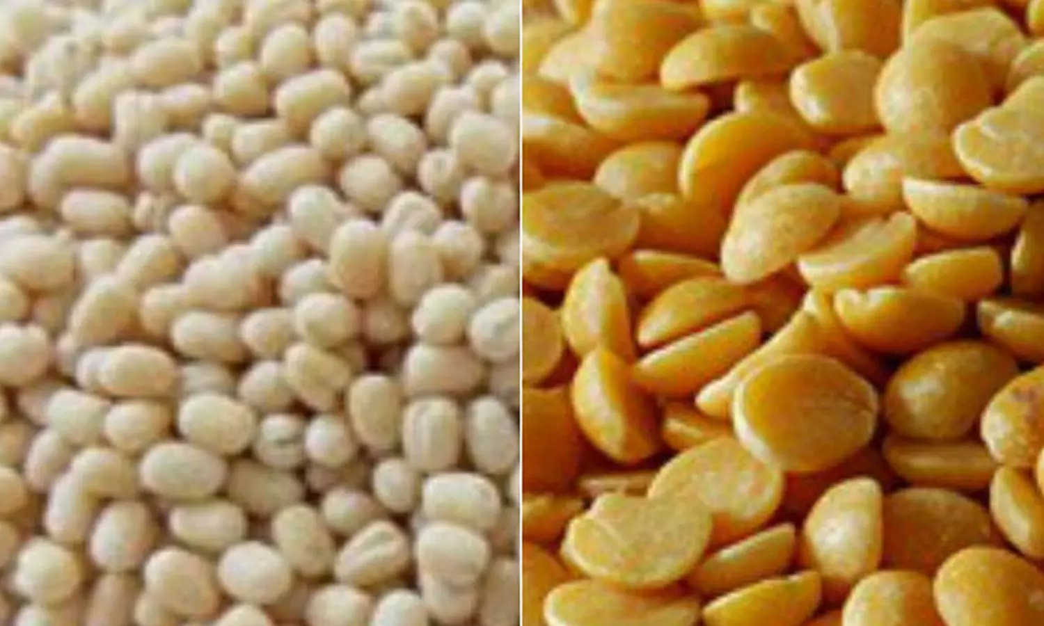 பருப்பு வகைகள் கிலோவுக்கு ரூ.20 வரை சரிவு