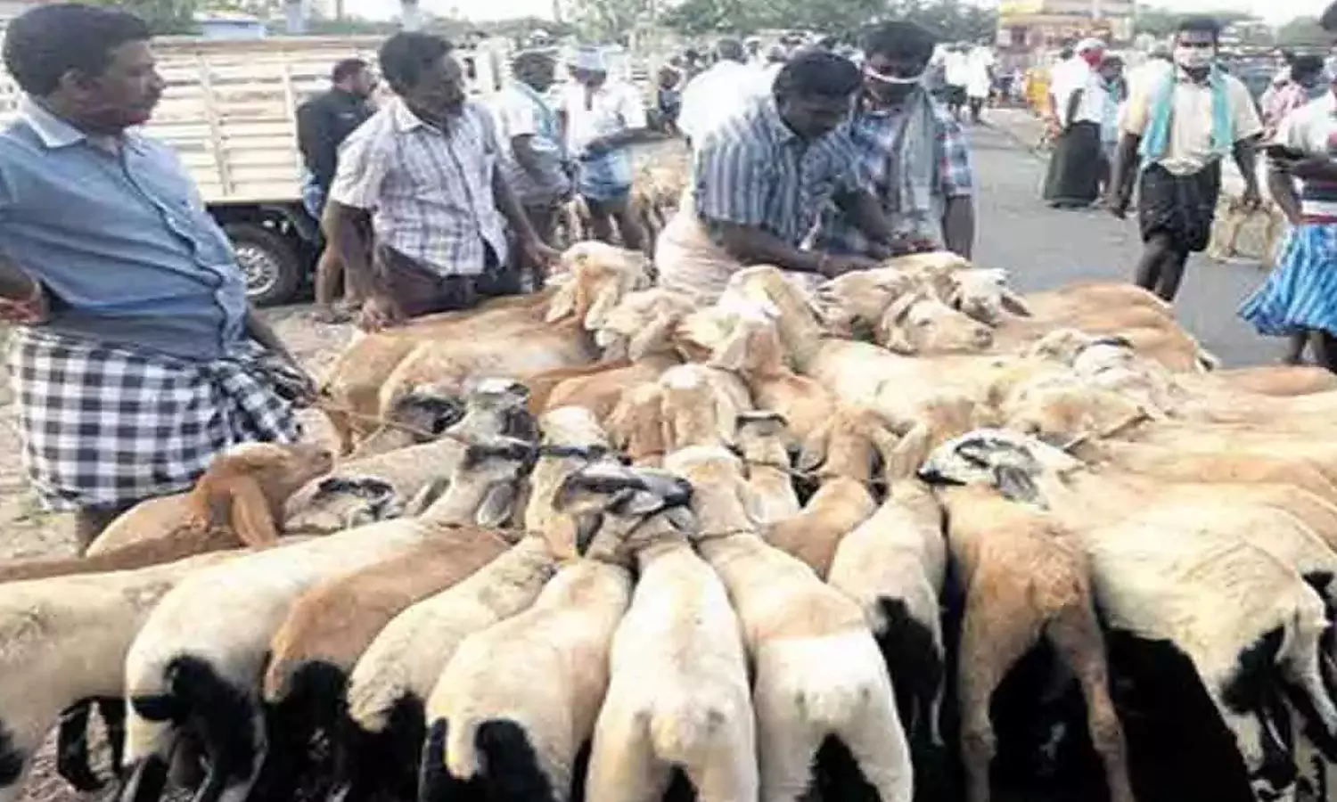 இறைச்சி விலைகளை பொதுமக்கள் அறிய புதிய இணையதளம் - தமிழக அரசு தொடங்குகிறது