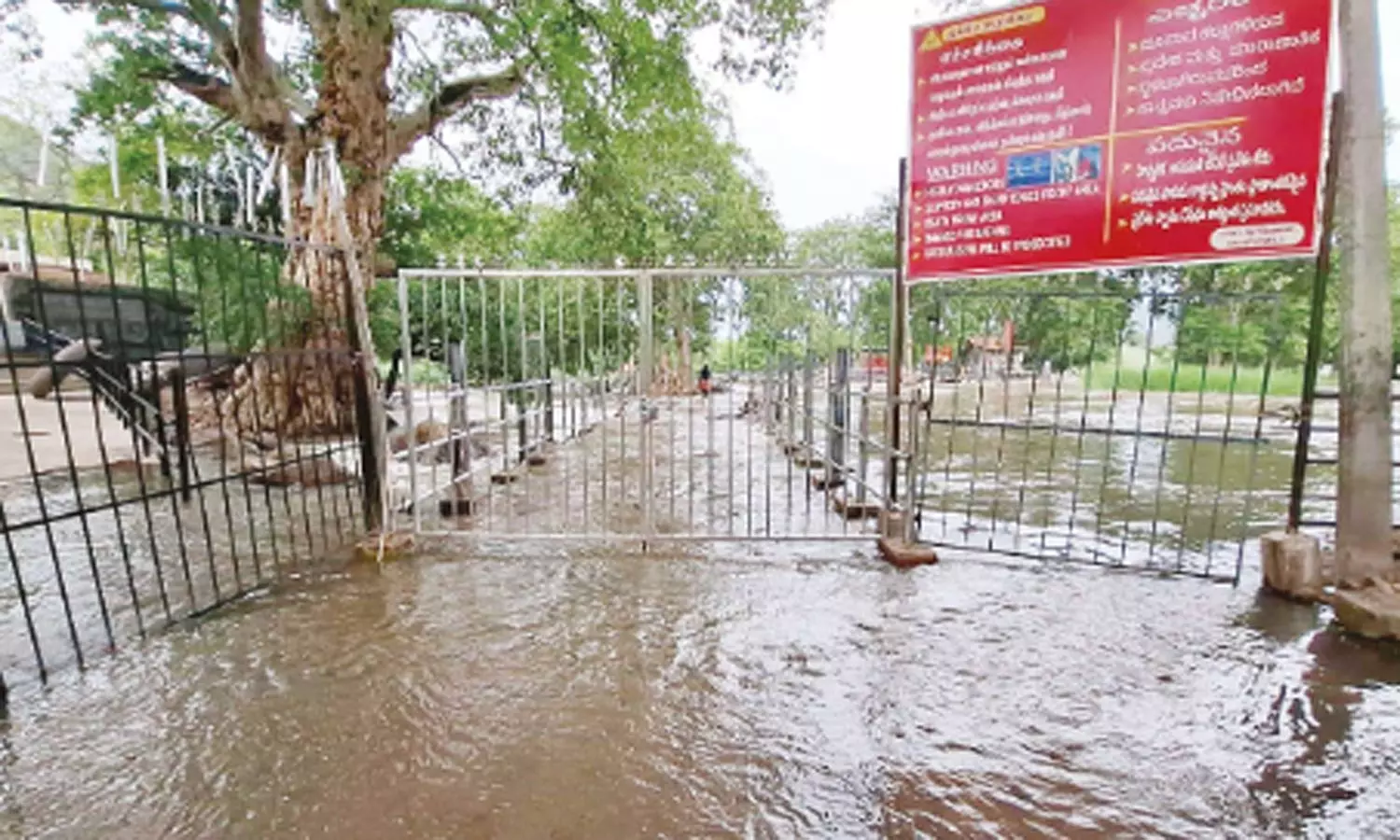 ஒகேனக்கல்லுக்கு நீர்வரத்து வினாடிக்கு 78 ஆயிரம் கனஅடியாக குறைந்தது ஒகேனக்கல்லுக்கு நீர்வரத்து வினாடிக்கு 78 ஆயிரம் கனஅடியாக குறைந்தது