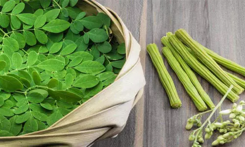 முருங்கை கீரை சாப்பிடுவதால் ஏற்படும் நன்மைகள்