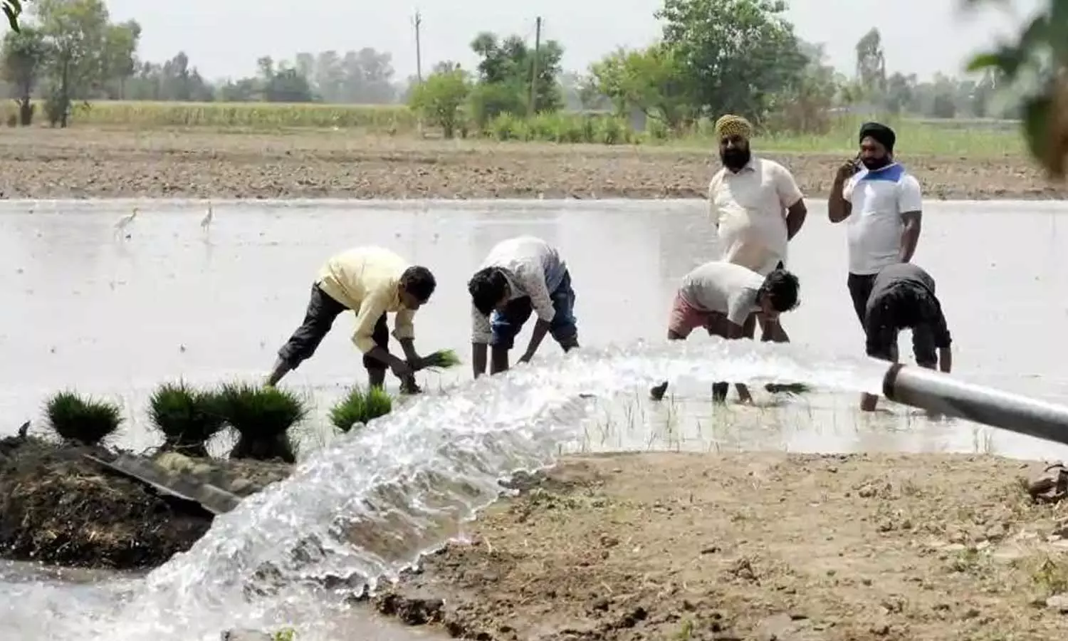 விவசாயிகள் பயன்படுத்தும் நிலத்தடி நீருக்கு வரியா? - மத்திய அரசு மறுப்பு