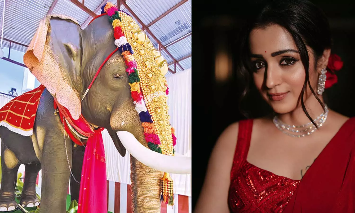 அருப்புக்கோட்டை செல்வ விநாயகர் கோவிலுக்கு  திரிஷா தந்த அன்பளிப்பு... அடடே!