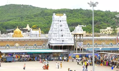 விபத்து, சிறுத்தை தாக்குதல் எதிரொலி- திருப்பதி பக்தர்களுக்கு காப்பீட்டு வசதி தேவஸ்தானம் பரிசீலனை