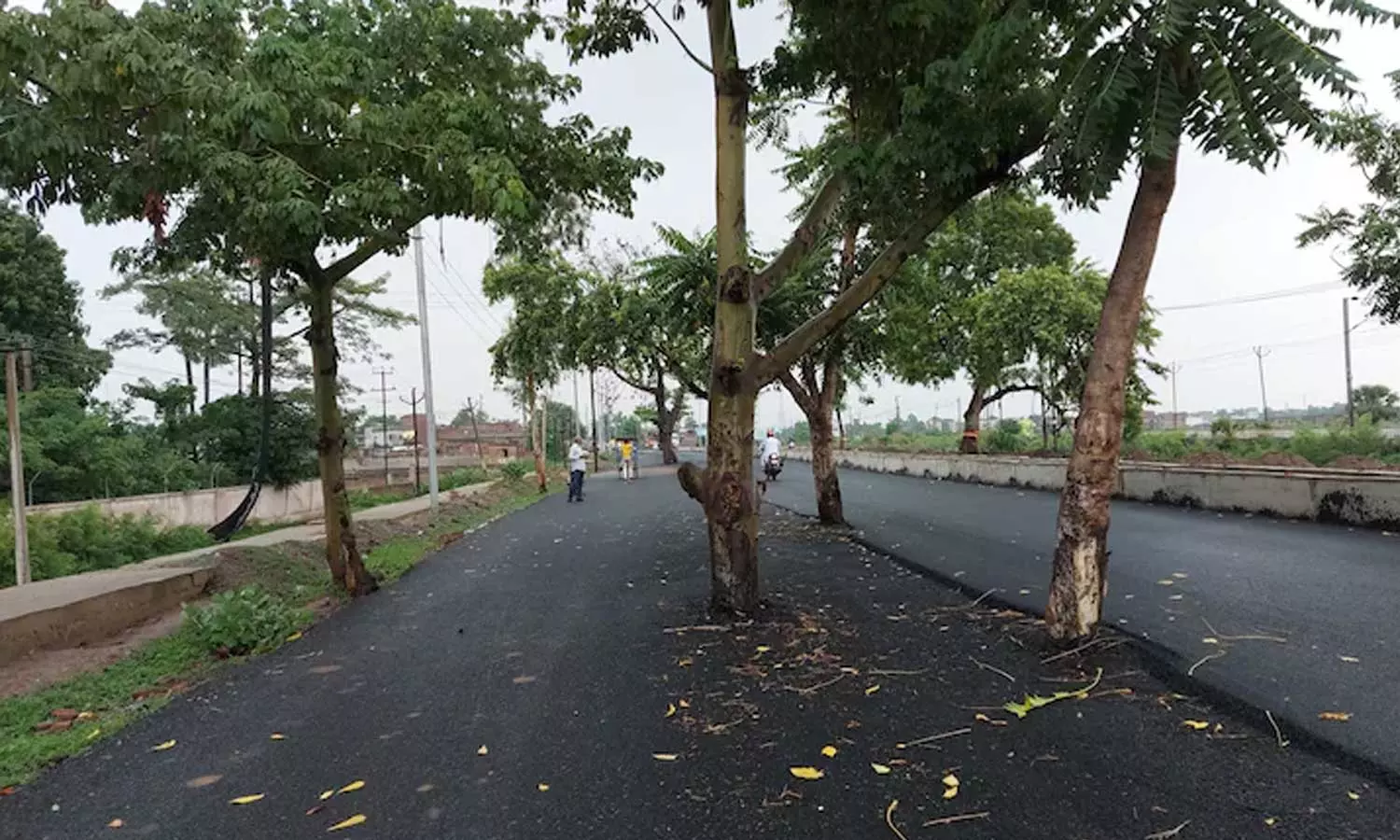 100 கோடி ரூபாய் செலவில் போடப்பட்ட சாலையின் நடுவே மரங்கள்..! 100 கோடி ரூபாய் செலவில் போடப்பட்ட சாலையின் நடுவே மரங்கள்..!