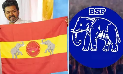 தவெக கொடி பயன்படுத்த தடை விதிக்க கோரி வழக்கு: ஜூலை 3-ம் தேதி தீர்ப்பு