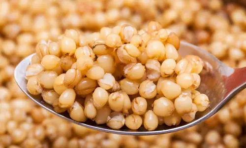 உடல் ஊட்டம் தரும் கோதுமை பால்