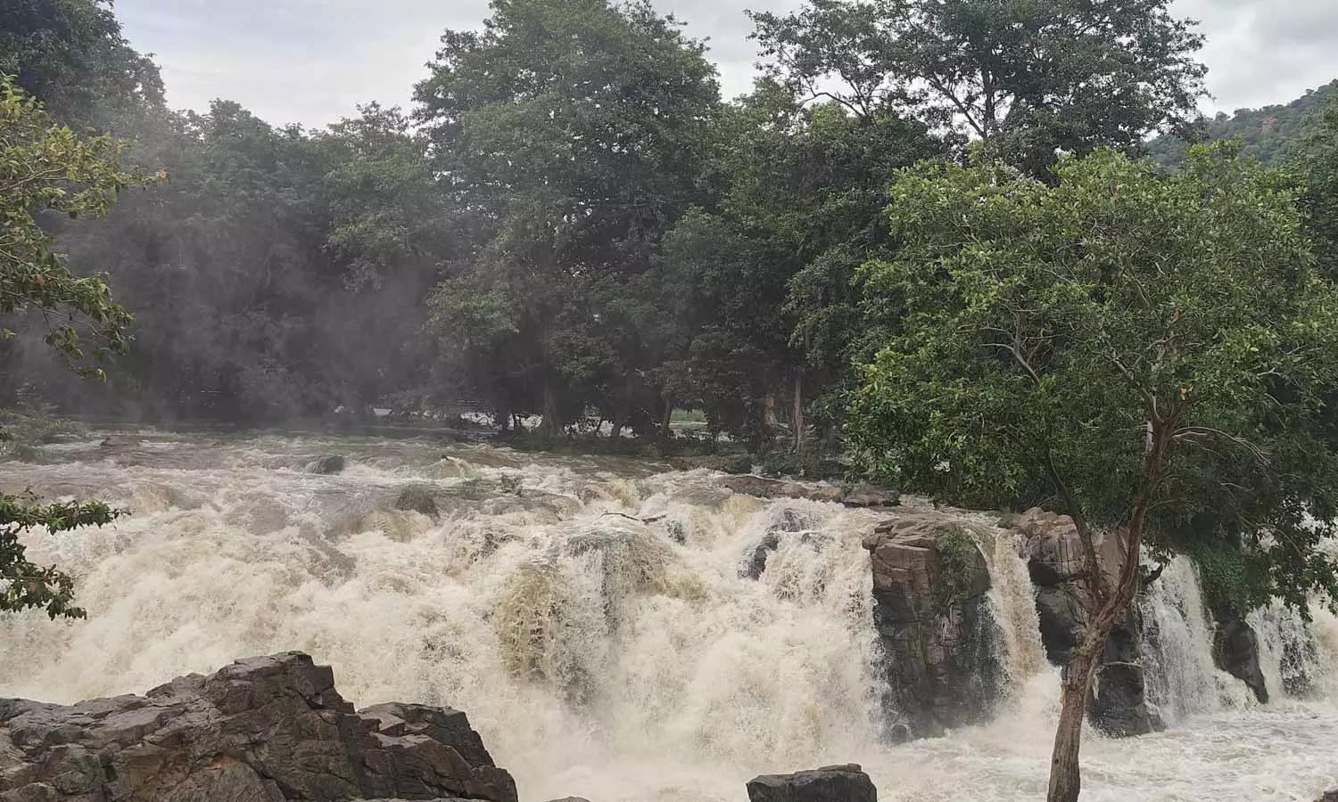 நீர்வரத்து 50 ஆயிரம் கனஅடியாக நீடிப்பு: அருவியில் குளிக்க, பரிசல் இயக்க 12-வது நாளாக தொடரும் தடை நீர்வரத்து 50 ஆயிரம் கனஅடியாக நீடிப்பு: அருவியில் குளிக்க, பரிசல் இயக்க 12-வது நாளாக தொடரும் தடை