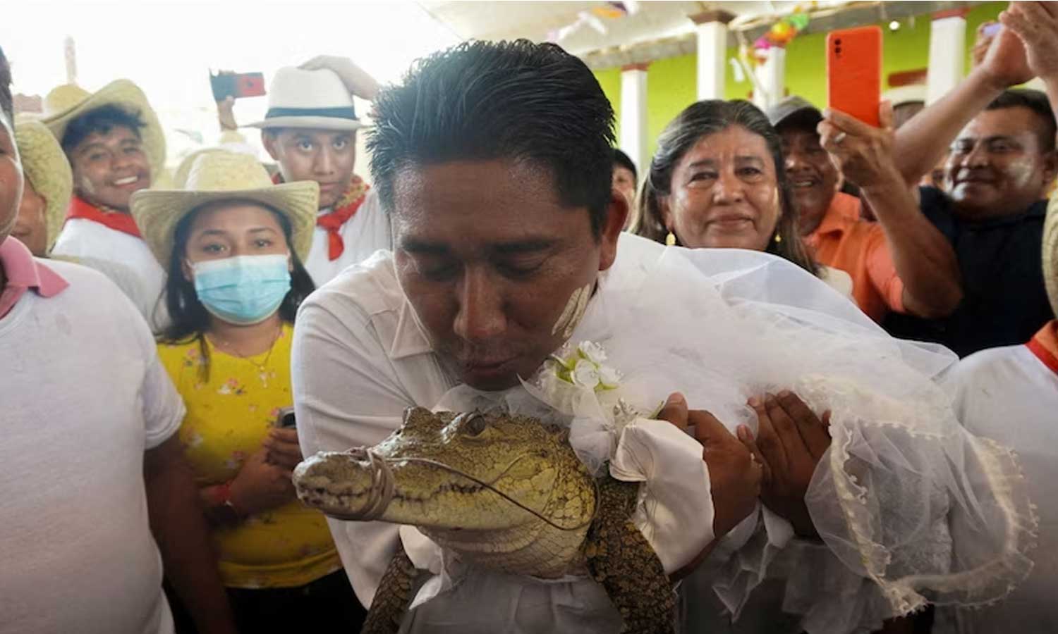 மெக்சிகோவில் மேயருக்கும் பெண் முதலைக்கும் திருமணம் - ஏன் தெரியுமா?
