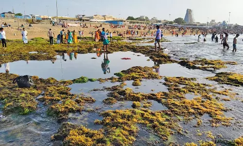 பவுர்ணமி நாளான இன்று திருச்செந்தூர் கடல் 80 அடி உள் வாங்கியது