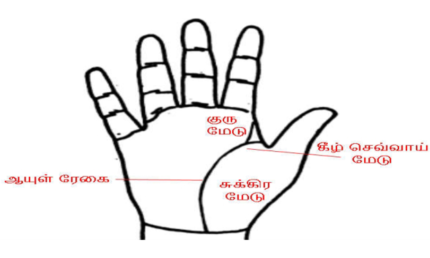 சுக்கிர மேட்டின் அமைப்பும் பலன்களும்