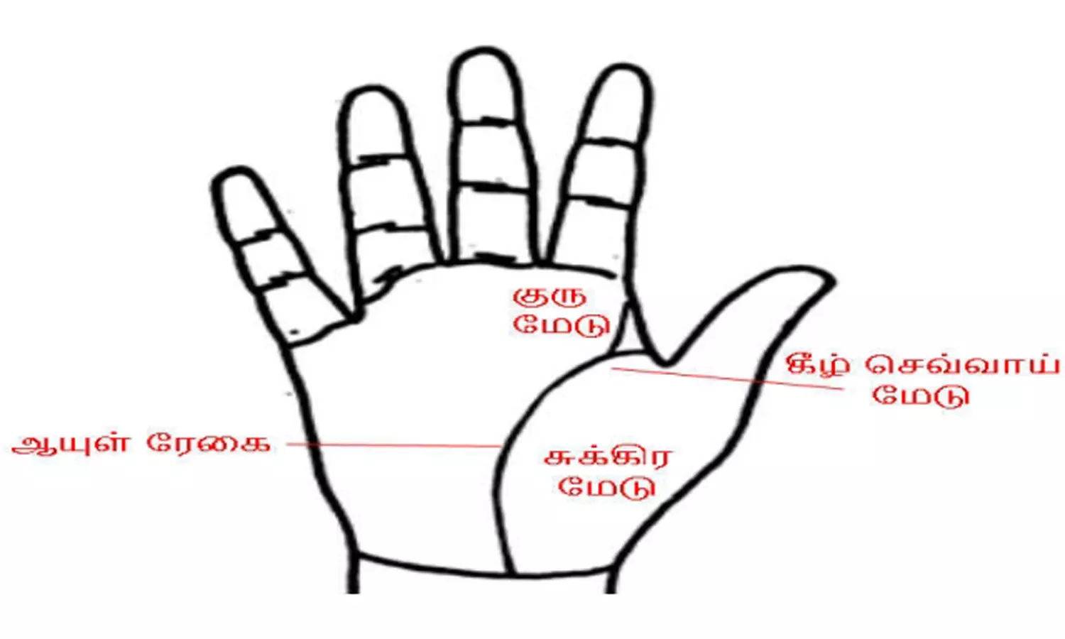 சுக்கிர மேட்டின் அமைப்பும் பலன்களும் சுக்கிர மேட்டின் அமைப்பும் பலன்களும்