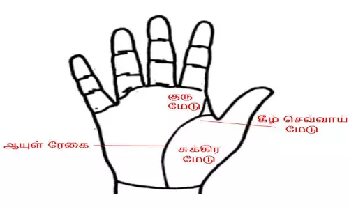சுக்கிர மேட்டின் அமைப்பும் பலன்களும்