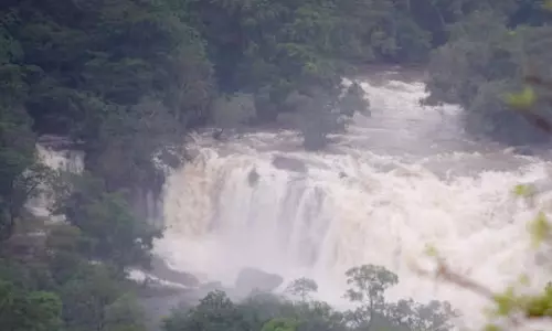 உடுமலை அருகே தூவானம் அருவியில் ஆர்ப்பரித்து கொட்டும் தண்ணீர்