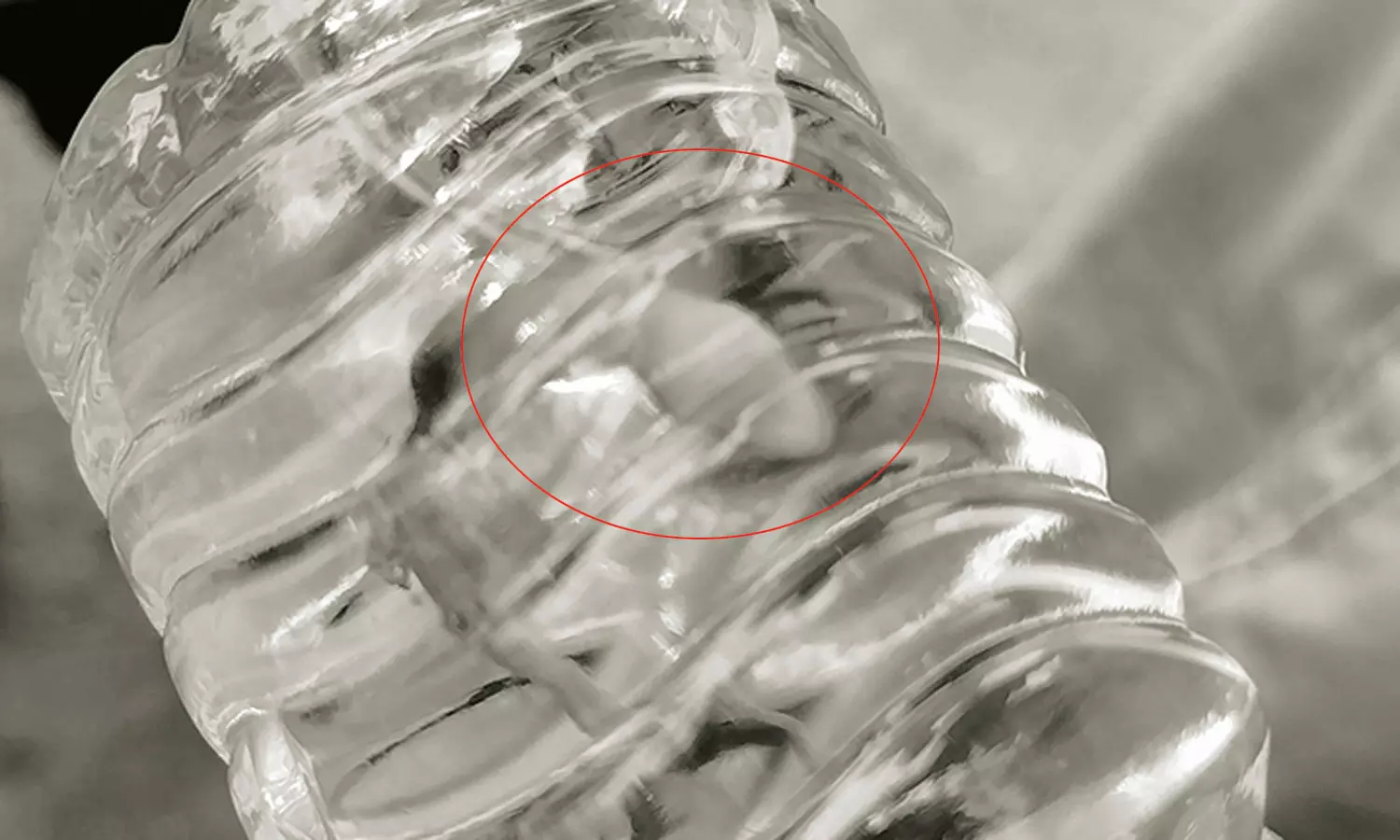 குடிநீர் பாட்டிலில் இறந்த பல்லி- தண்ணீர் சுத்திகரிப்பு ஆலையில் முற்றுகை போராட்டம்