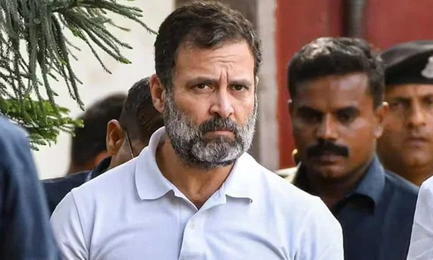 ராணுவம் குறித்து அவதூறு பேசியதாக வழக்கு: ராகுல் காந்திக்கு ஜாமின் வழங்கியது கோர்ட் ராணுவம் குறித்து அவதூறு பேசியதாக வழக்கு: ராகுல் காந்திக்கு ஜாமின் வழங்கியது கோர்ட்