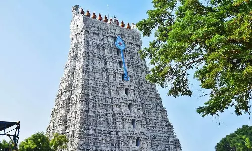 சந்தனக் கொடிமரம் கொண்டு வந்த எருமை