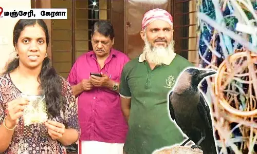 காக்கா திருடிய நகை -மீண்டும் கிடைத்த அதிசயம்