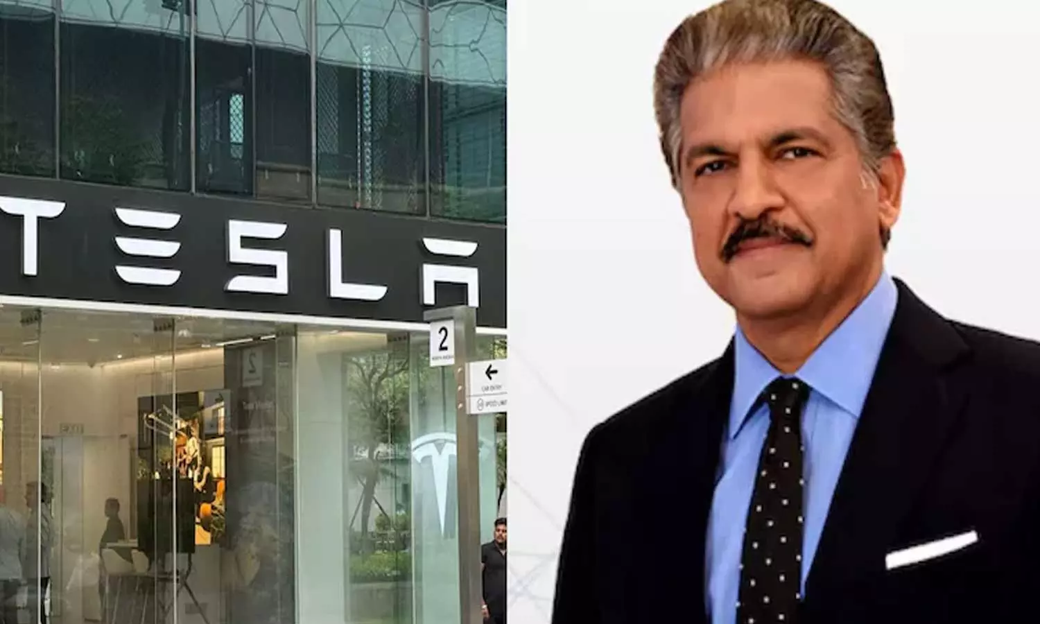 இந்தியாவில் முதல் ஷோரூமை திறந்த டெஸ்லா நிறுவனம் - எலான் மஸ்க்கிற்கு ஆனந்த் மஹிந்திரா வாழ்த்து இந்தியாவில் முதல் ஷோரூமை திறந்த டெஸ்லா நிறுவனம் - எலான் மஸ்க்கிற்கு ஆனந்த் மஹிந்திரா வாழ்த்து