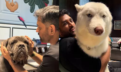 வளர்ப்பு நாய்களுடன் கொஞ்சி விளையாடும் எம்.எஸ்.தோனி - புகைப்படங்கள் வைரல்