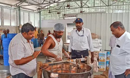 அல்வாவில் தேள் கிடந்த விவகாரம்: அல்வா கடை, குடோன்களில் உணவு பாதுகாப்புத்துறையினர் அதிரடி ஆய்வு