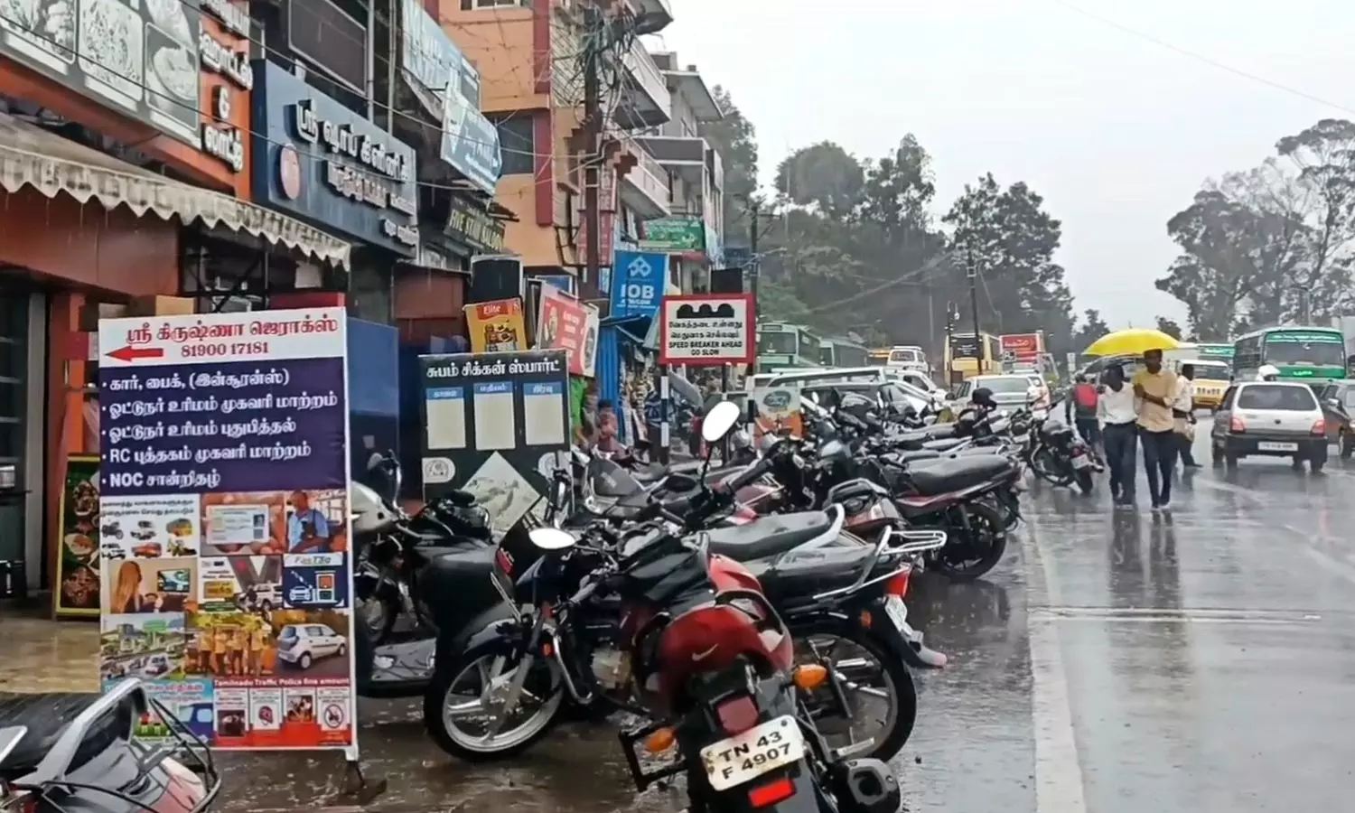 நீலகிரியில் கொட்டி தீர்த்த கனமழை - பந்தலூரில் மின் கம்பிகள் மீது மரம் விழுந்தது