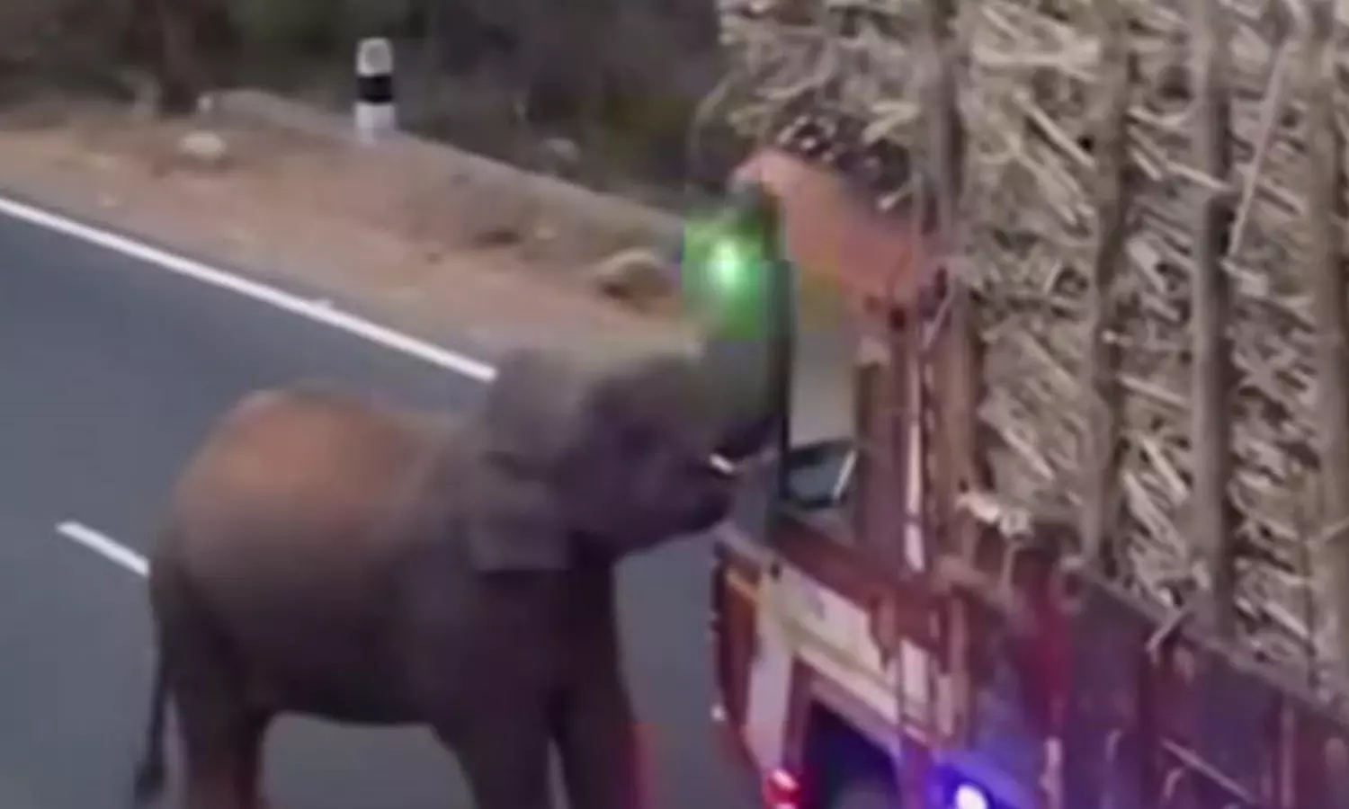 நெடுஞ்சாலையில் வந்த லாரியை வழிமறித்து கரும்பை ருசித்த ஒற்றை யானை