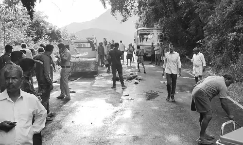 பொள்ளாச்சி அருகே சரக்கு வேன் கவிழ்ந்து விபத்து - 3 பேர் பலி