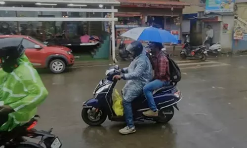 நீலகிரியில் கனமழை - அவலாஞ்சி, பைன்பாரஸ்ட் சுற்றுலா தலங்கள் மூடல்