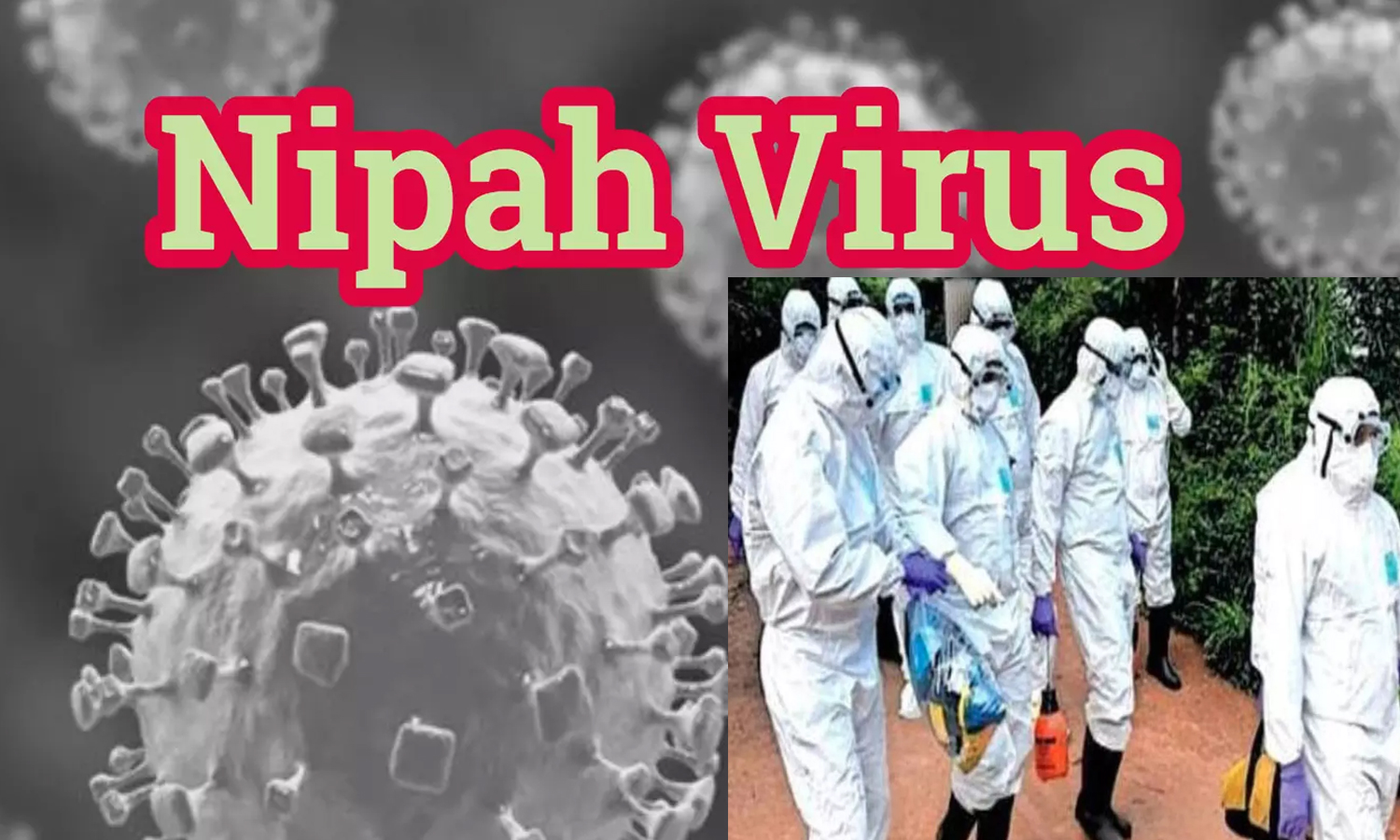 கேரளாவில் 5 மாவட்டங்களில் 581 பேருக்கு நிபா பாதிப்பு