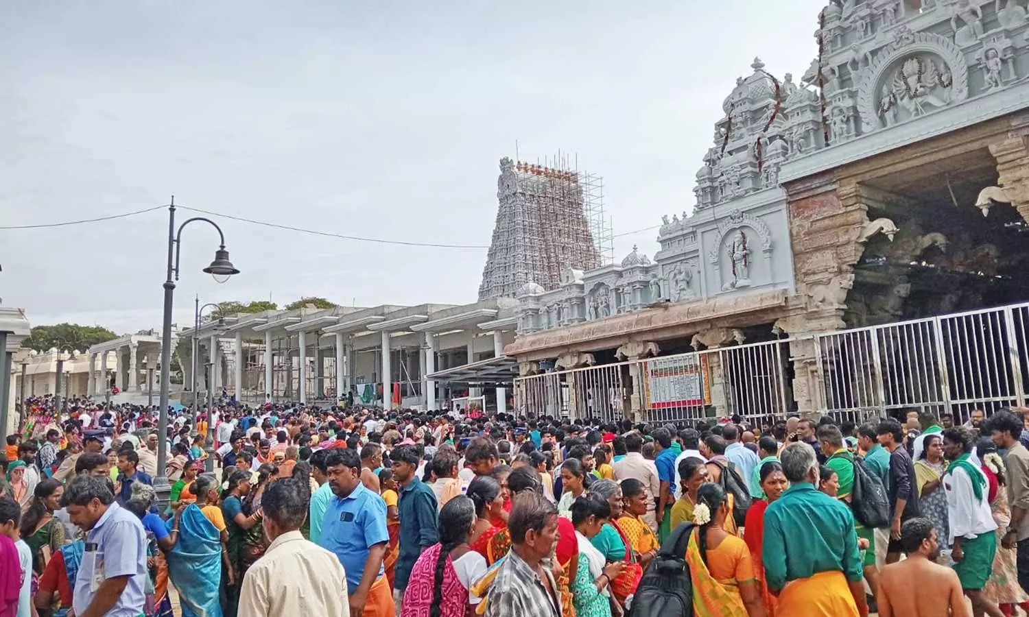 திருச்செந்தூர் கோவிலில் 7 மணி நேரம் காத்திருந்து தரிசனம் செய்த பக்தர்கள் திருச்செந்தூர் கோவிலில் 7 மணி நேரம் காத்திருந்து தரிசனம் செய்த பக்தர்கள்