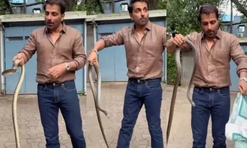 வீட்டு வளாகத்திற்குள் நுழைந்த பாம்பை வெறும் கையால் பிடித்த நடிகர் சோனு சூட் - வீடியோ வைரல்