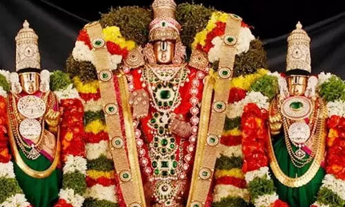 ஏகாதசி வழிபாட்டு முறைகளும், பலன்களும்...