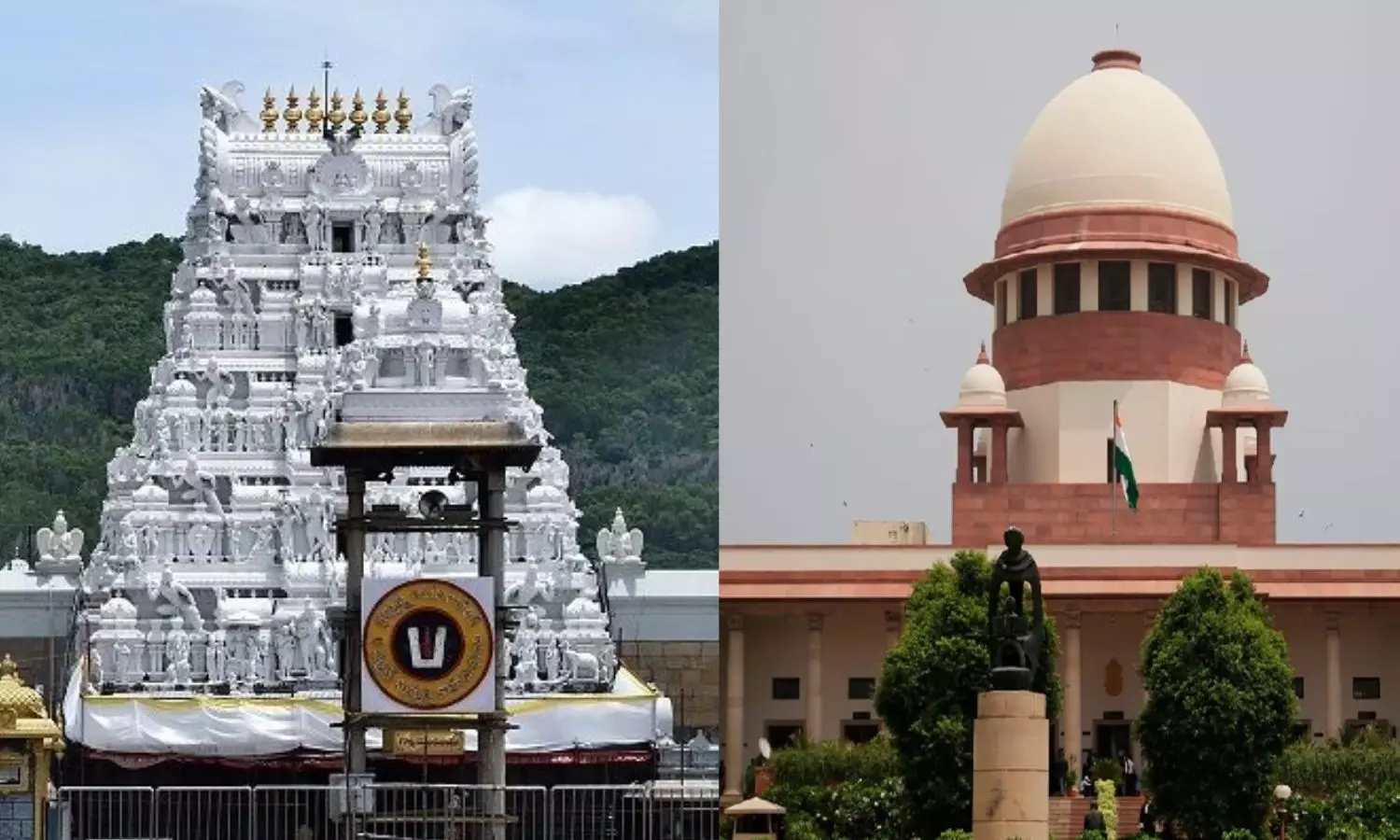 கடவுள் மீதான உண்மையான அன்பு சக உயிர்களுக்கு சேவை செய்வதுதான் - உச்சநீதிமன்றம்