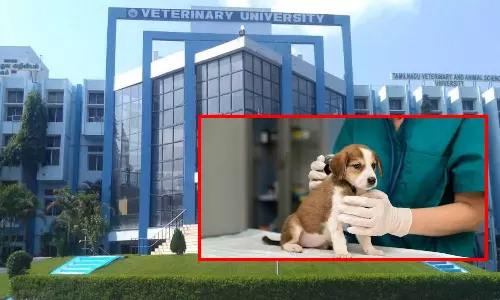 கால்நடை மருத்துவப் படிப்புகளுக்கான கலந்தாய்வு இன்று தொடங்குகிறது