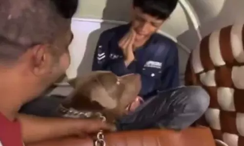 VIDEO: ஆட்டோவில் விளையாடிய சிறுவனை பிட்புல் நாயை விட்டு கடிக்க விட்ட வாலிபர்