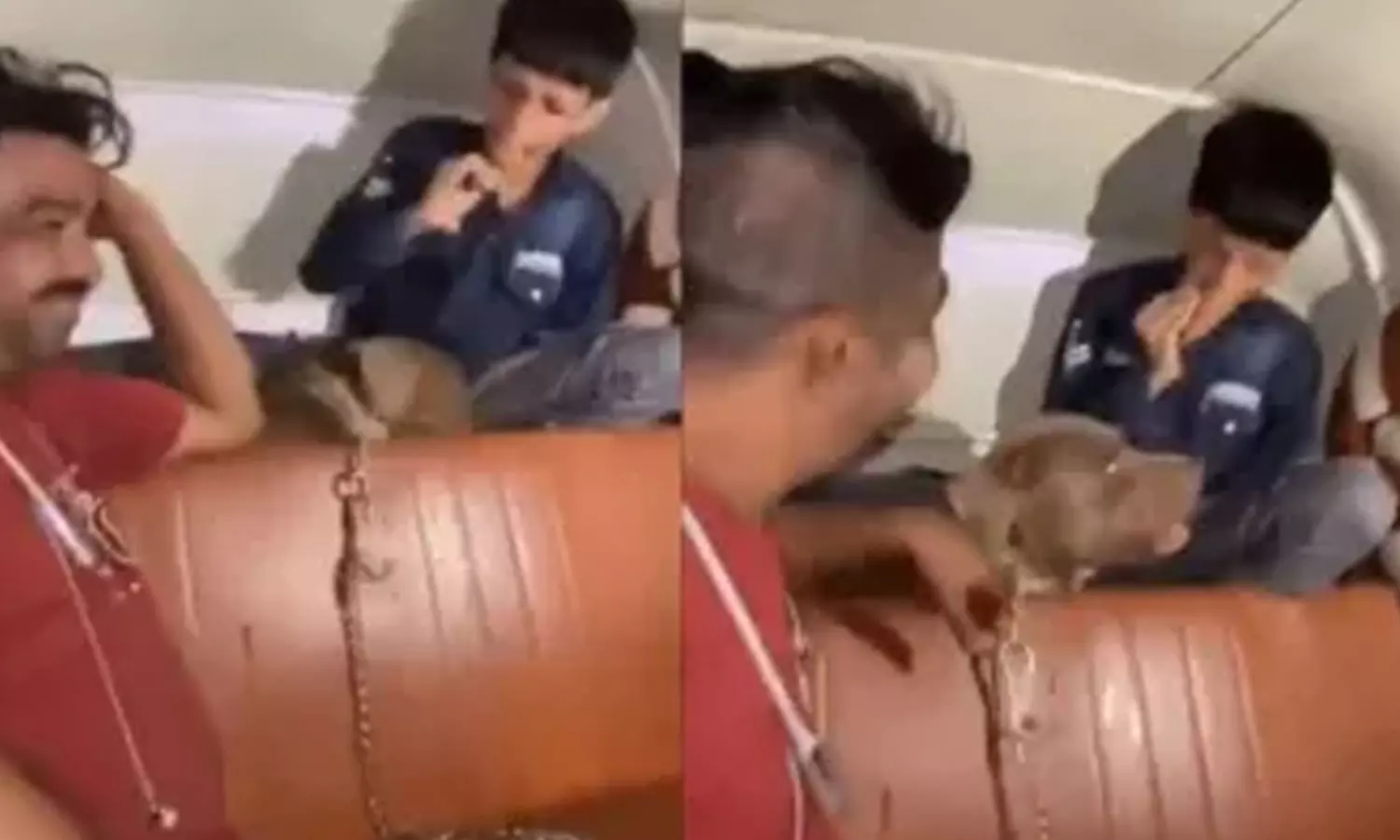 சிறுவனை பிட்புல் நாயை விட்டு கடிக்க விட்டு ரசித்த தொழிலதிபர் கைதாகி ஜாமினில் விடுவிப்பு சிறுவனை பிட்புல் நாயை விட்டு கடிக்க விட்டு ரசித்த தொழிலதிபர் கைதாகி ஜாமினில் விடுவிப்பு