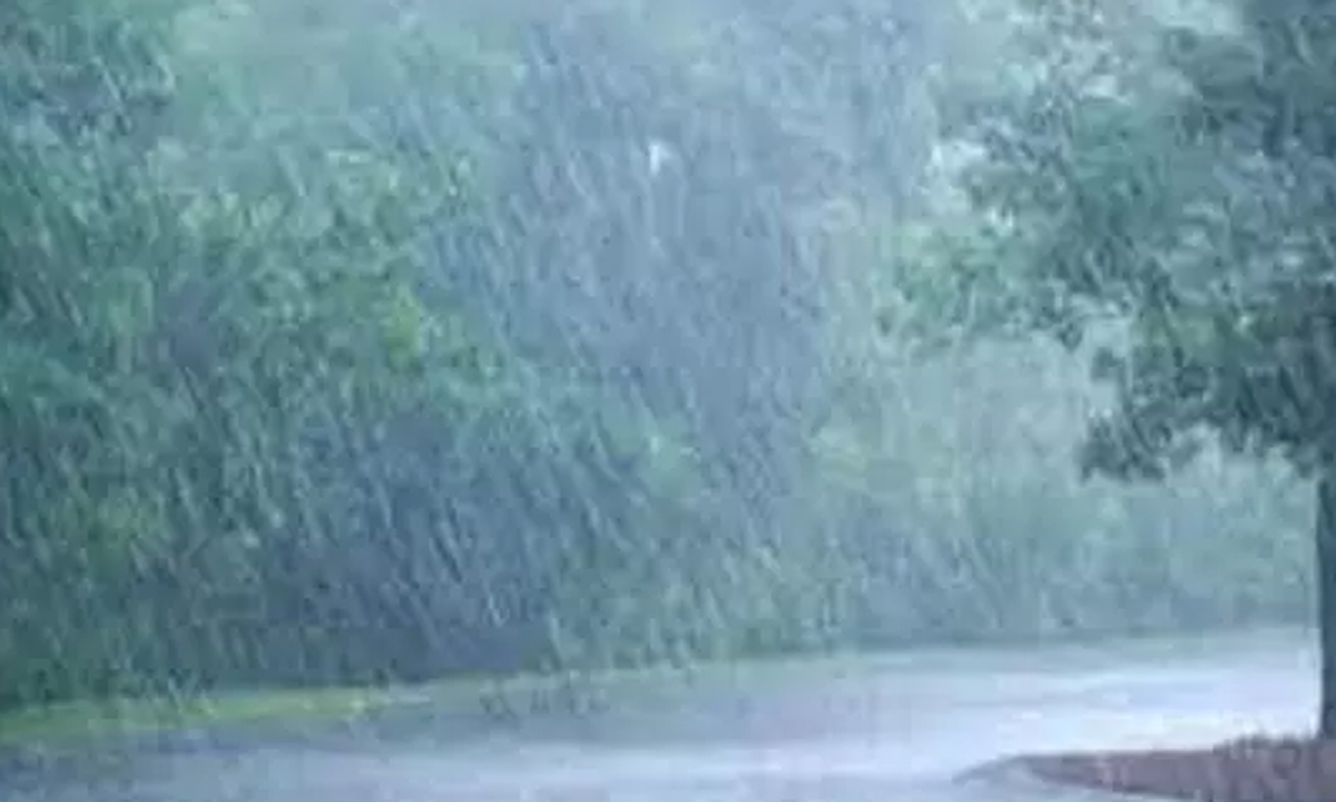 ஏற்காட்டில் தொடரும் சாரல் மழையால் பனி மூட்டம்  -  கடும் குளிர்