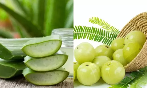 நெல்லிக்காய் - கற்றாழை: முடி வளர்ச்சிக்கு எது சிறந்தது?