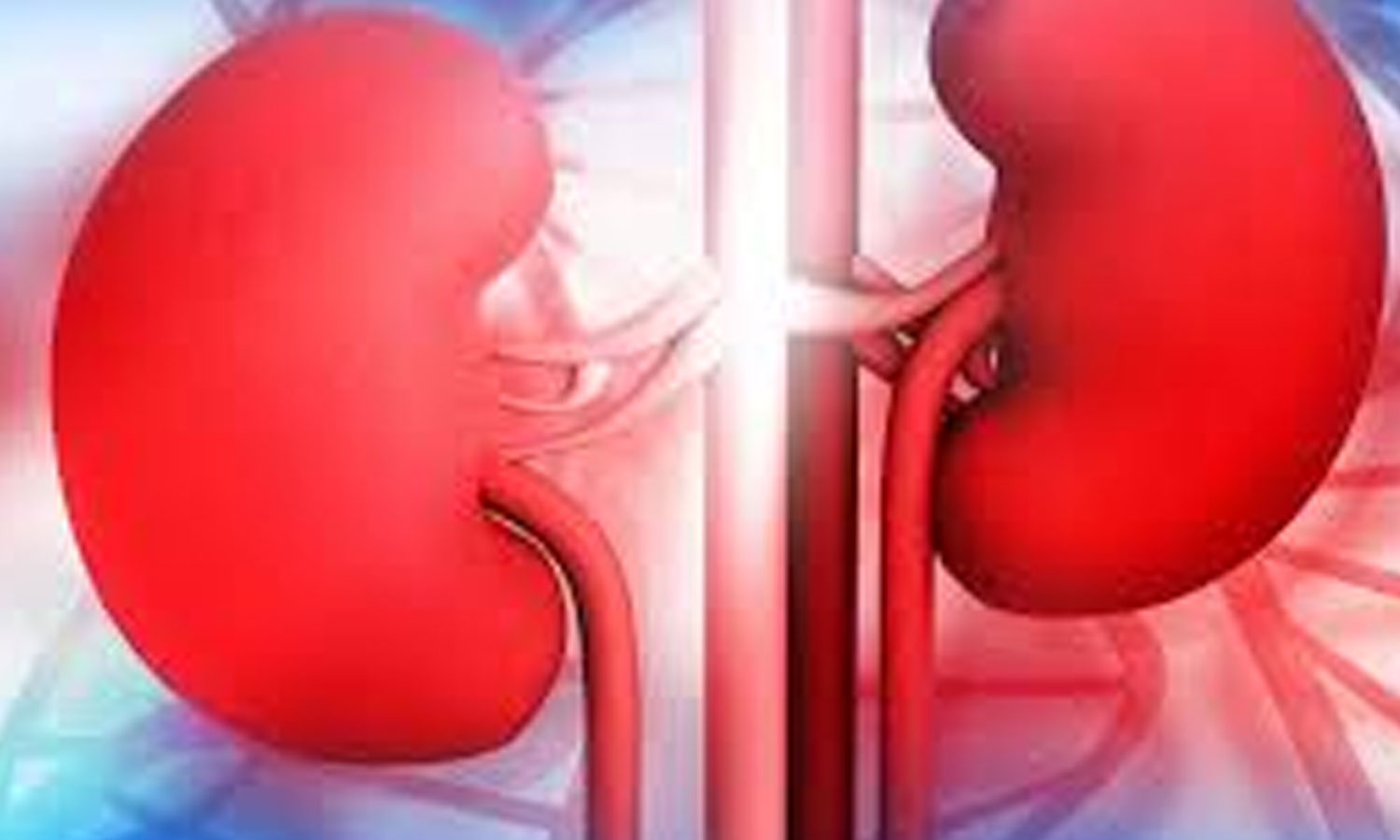 பள்ளிபாளையம் பகுதியில் ஏராளமான பெண்களிடம் சிறுநீரகம் எடுத்து மோசடி- விசாரணையில் அதிர்ச்சி தகவல்