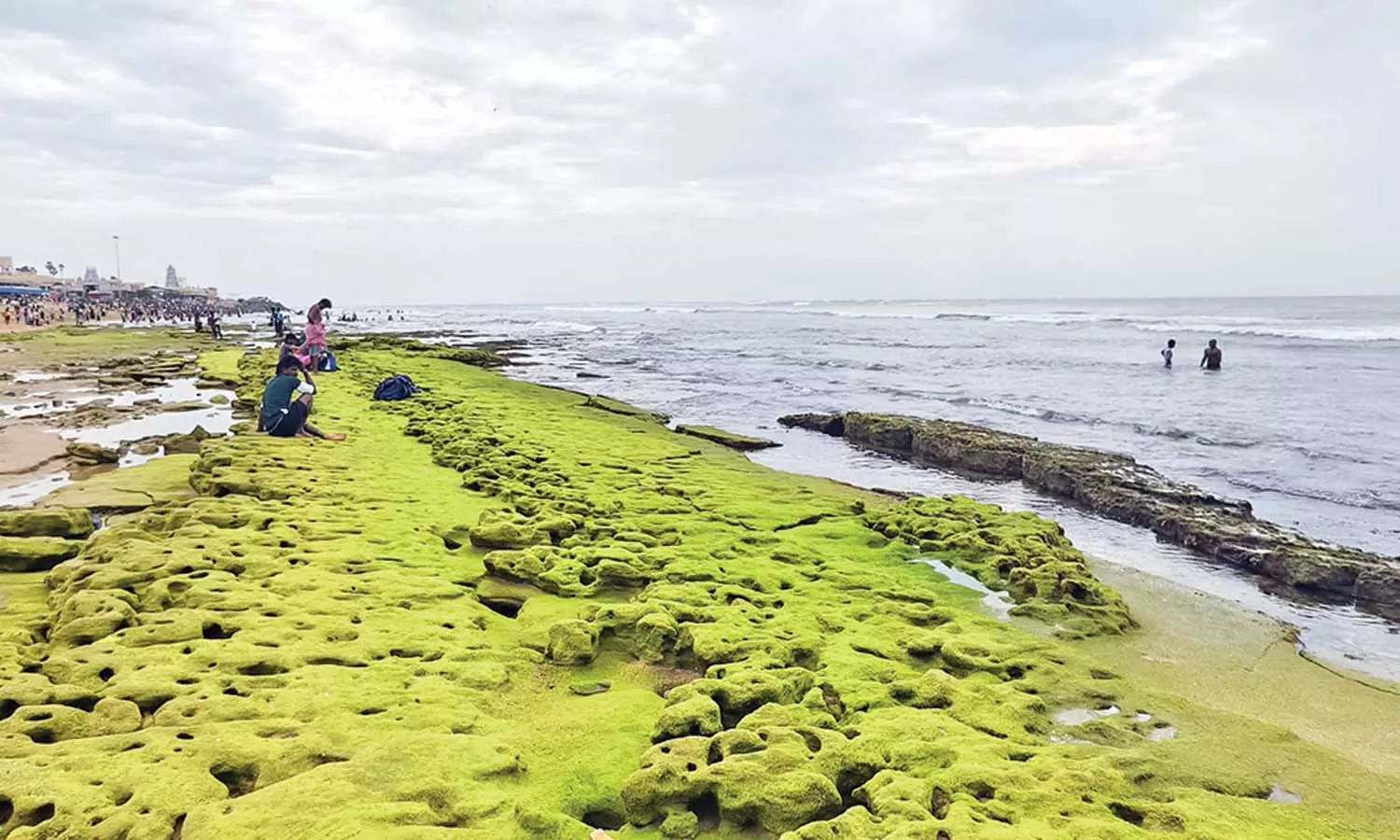 ஆடி அமாவாசையான இன்று திருச்செந்தூர் கடல் 100 அடி உள்வாங்கியது