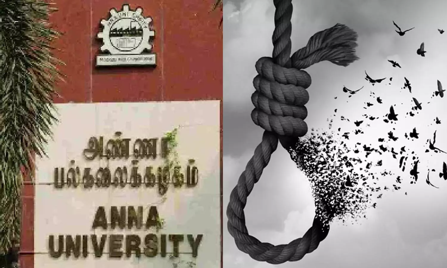 அண்ணா பல்கலை வளாகத்தில் மாணவர் தற்கொலை- போலீசார் விசாரணை