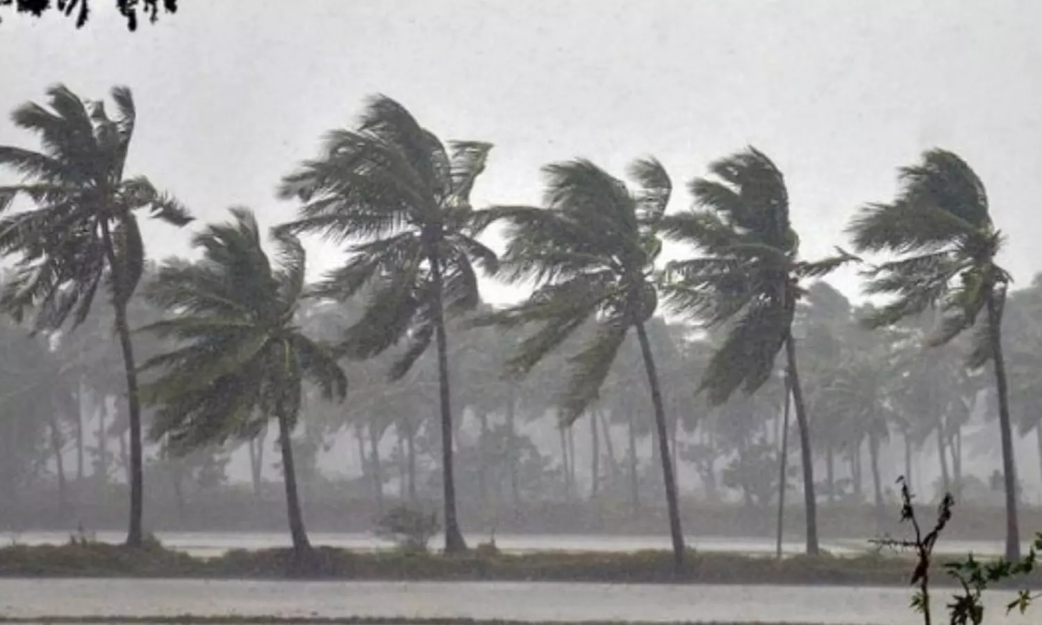 கேரளாவில் கனமழை - 6 மாவட்டங்களுக்கு ஆரஞ்சு எச்சரிக்கை கேரளாவில் கனமழை - 6 மாவட்டங்களுக்கு ஆரஞ்சு எச்சரிக்கை