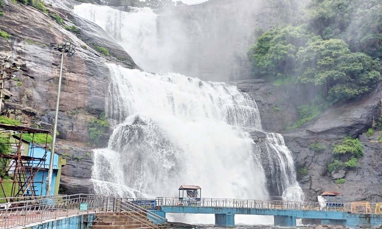 நெல்லை, தென்காசி மாவட்டங்களில் அணைகள் நீர்மட்டம் தொடர்ந்து உயர்வு