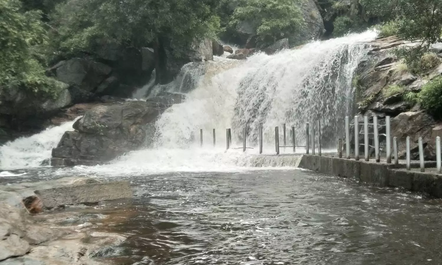 உடுமலை பஞ்சலிங்க அருவியில் சுற்றுலா பயணிகள் குளிக்க தடை உடுமலை பஞ்சலிங்க அருவியில் சுற்றுலா பயணிகள் குளிக்க தடை
